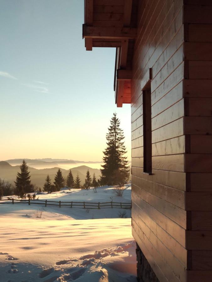 Holiday home Planinska Koliba Exclusive Sekulic