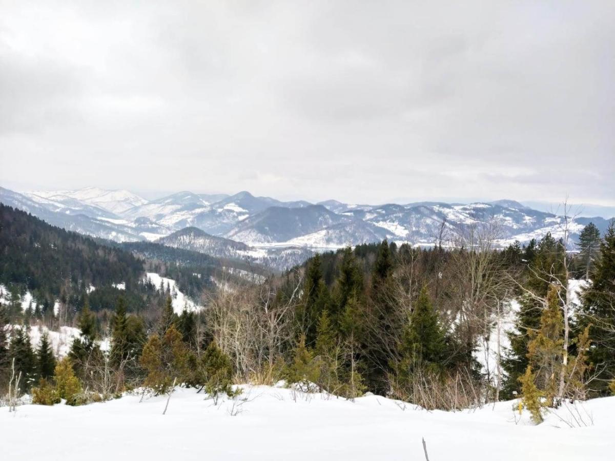Planinska Koliba Exclusive Holiday home *
